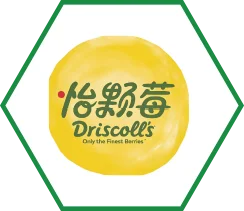 合作品牌