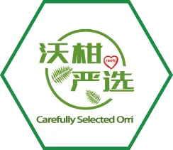 合作品牌